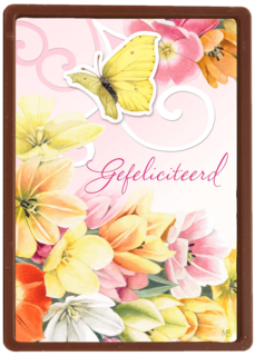 kleurrijke bloemetjes met vlinder