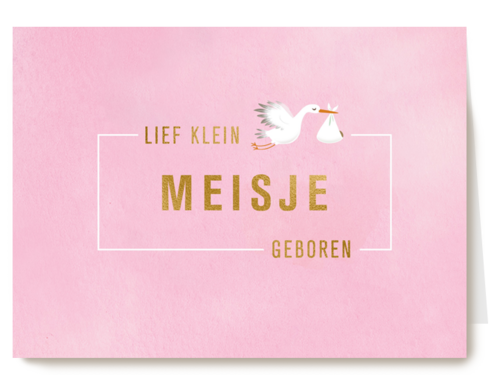 Babykaart dochter Lief klein meisje geboren