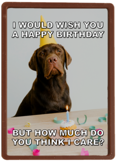 verjaardagskaart met hond met feesthoed