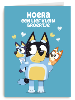 Bluey Lief Klein Broertje