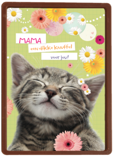moederdag klassiek een katje voor moederdag