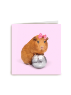 Verjaardagskaart tiener grappig cavia met discobol