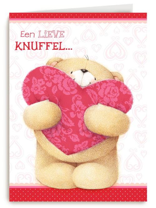 groot hart een lieve knuffel