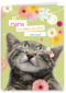 moederdag klassiek een katje voor moederdag